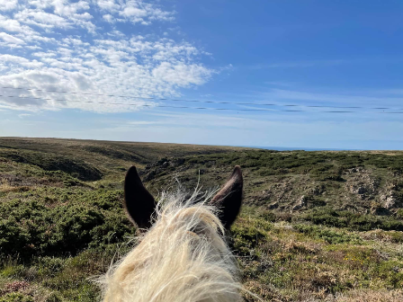 Coastal Ride Cornwall 